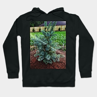 Little Blue Pine Hoodie